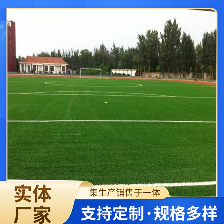 陇南市塑胶篮球场人造草坪 - 价格